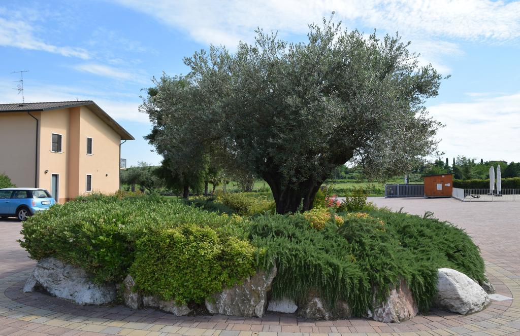 וליג'יו סול מיניציו Agriturismo Ca' Del Gal מראה חיצוני תמונה